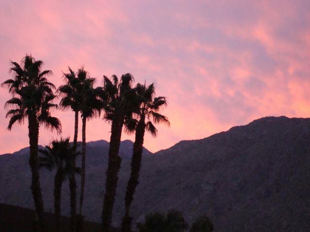 Palm Springs