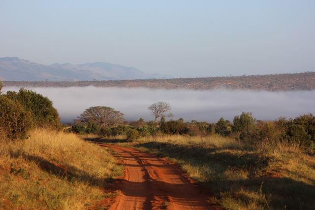 Tsavo West National Park